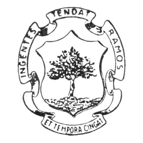 OpenSTAManager, il software gestionale open source per assistenza tecnica e fatturazione elettronica